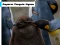 Гаме Emperor Penguin Jigsaw онлајн