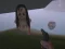 The Island of Momo — free online game