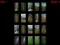 Laro Forest memory online