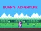 Bunn's Adventure — free online game