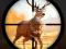 Wild Hunting Clash — free online game