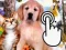 Pets Clicker – ingyenes online játék