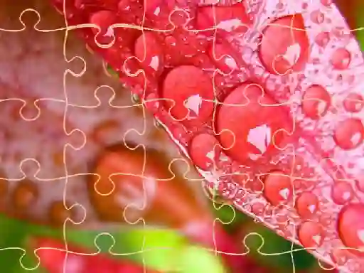 Jigsaw Puzzles — free online game