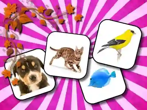 Animals Memory — free online game
