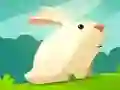 Greedy Rabbit — free online game