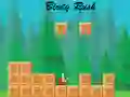 Birdy Rush — free online game