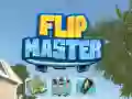 Flip Master — free online game
