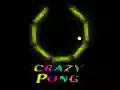 Crazy Pong — free online game