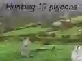 Pigeons Hunting — free online game