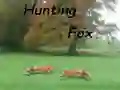 Hunting Fox — free online game