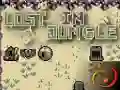 Lost in Jungle — free online game