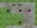 Spider Tower Defence — free online game