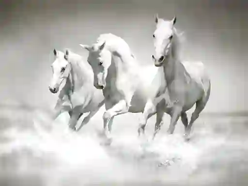 Horses Puzzle — free online game