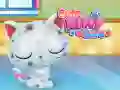 Cute Kitty Care — free online game