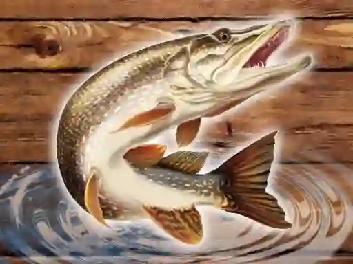 Fish Rain — free online game