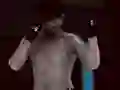 MFS: MMA Fighter — free online game