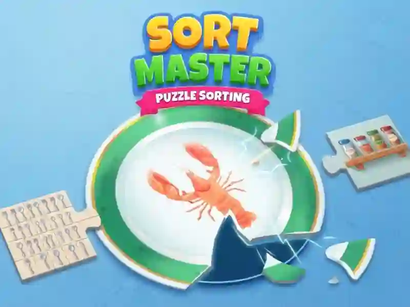 Sort Master puzzle sorting — free online game