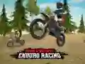 Dirt Bike Enduro Racing — free online game