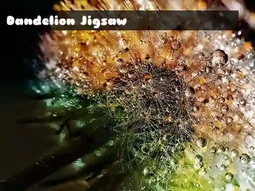 Dandelion Jigsaw — free online game