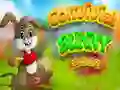 Convivial Bunny Escape — free online game