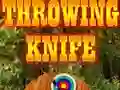 Throwing Knife — free online game