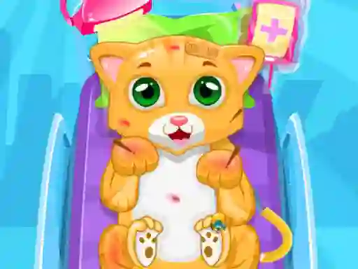 Little Cat Doctor — free online game