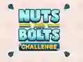 Nuts and Bolts Challenge — free online game