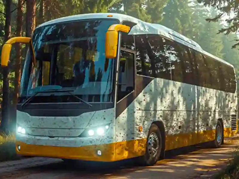 Bus Offroad — free online game