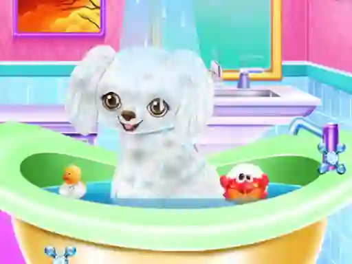 My New Poodle Friend — free online game