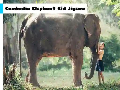 Cambodia Elephant Kid Jigsaw — free online game