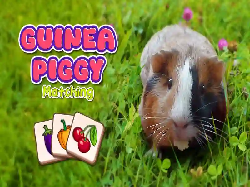 Guinea Piggy Matching — free online game