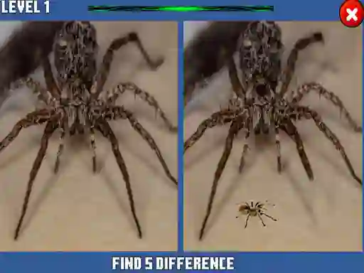Spider Hidden Difference — ücretsiz çevrimiçi oyun