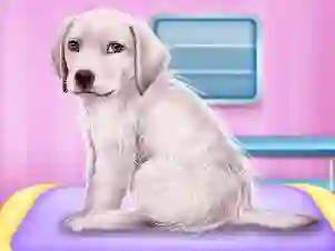 Labrador at the doctor salon     — free online game