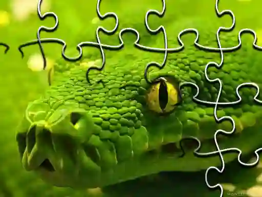 Snakes Jigsaw Puzzle — free online game