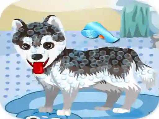 My Cute Dog Bathing — free online game