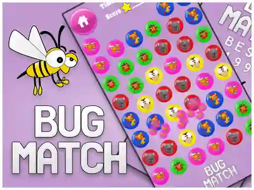 Bug match — free online game