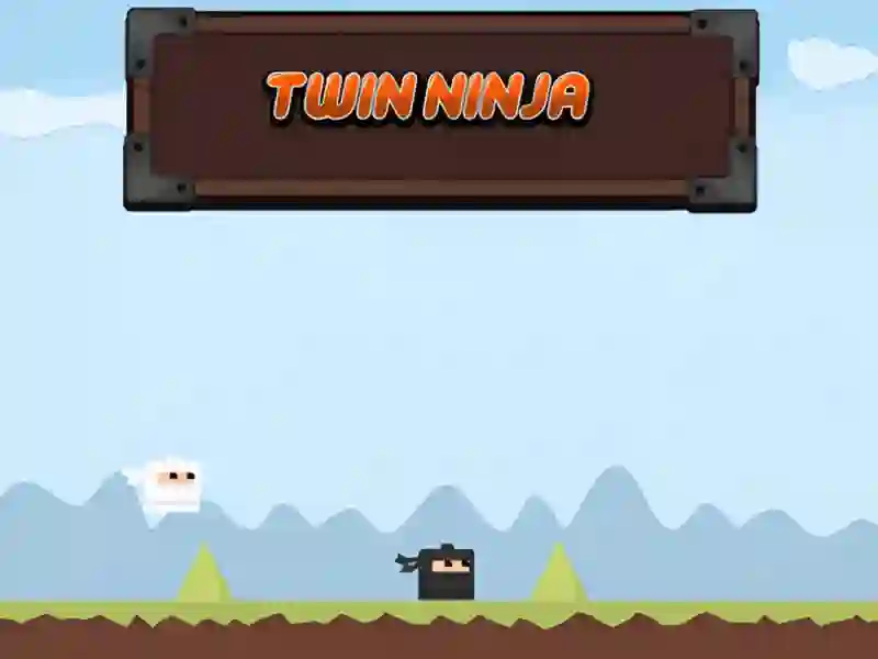 Twin Ninja — free online game