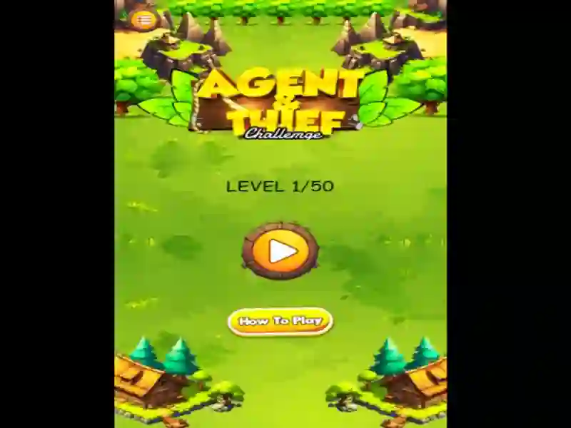 Agent & Thief Challenge — darmowa gra online