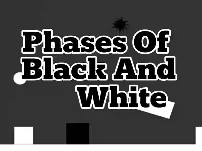 Phases Of Black And White — free online game