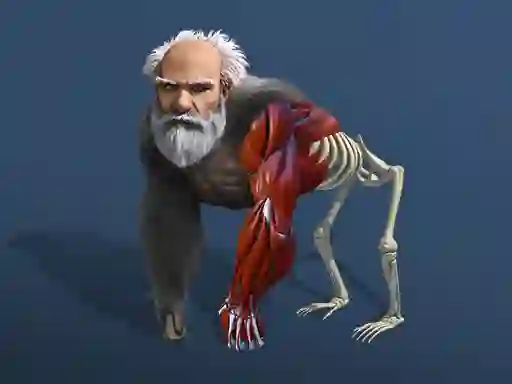 Idle Evolution From Cell To Human — free online game