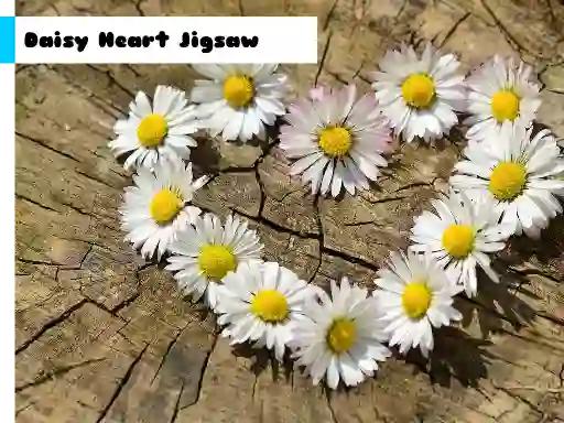 Daisy Heart Jigsaw — free online game