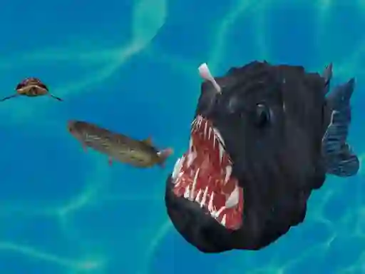 Fish 3d — bezplatná online hra