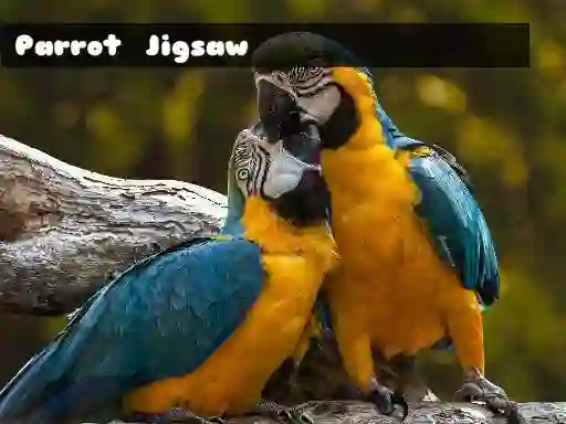 Parrot Jigsaw — free online game
