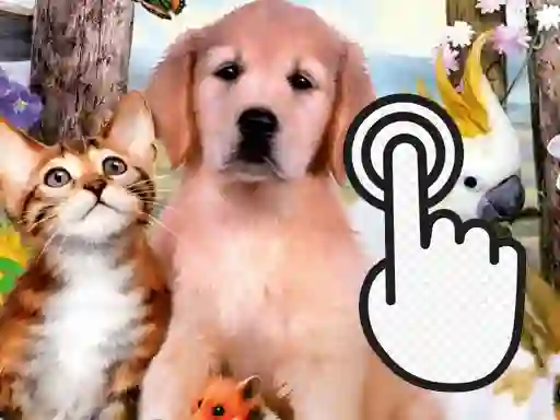 Pets Clicker – ingyenes online játék